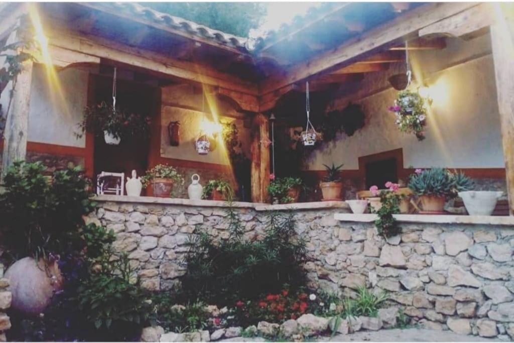 Willa Oasis De Ifre Caserío Cañada de Gallego Zewnętrze zdjęcie