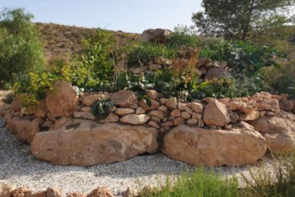Willa Oasis De Ifre Caserío Cañada de Gallego Zewnętrze zdjęcie
