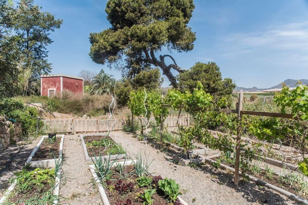 Willa Oasis De Ifre Caserío Cañada de Gallego Zewnętrze zdjęcie