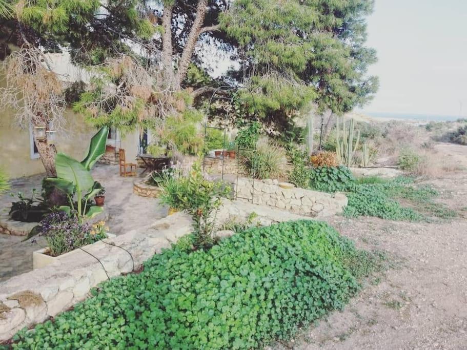 Willa Oasis De Ifre Caserío Cañada de Gallego Zewnętrze zdjęcie