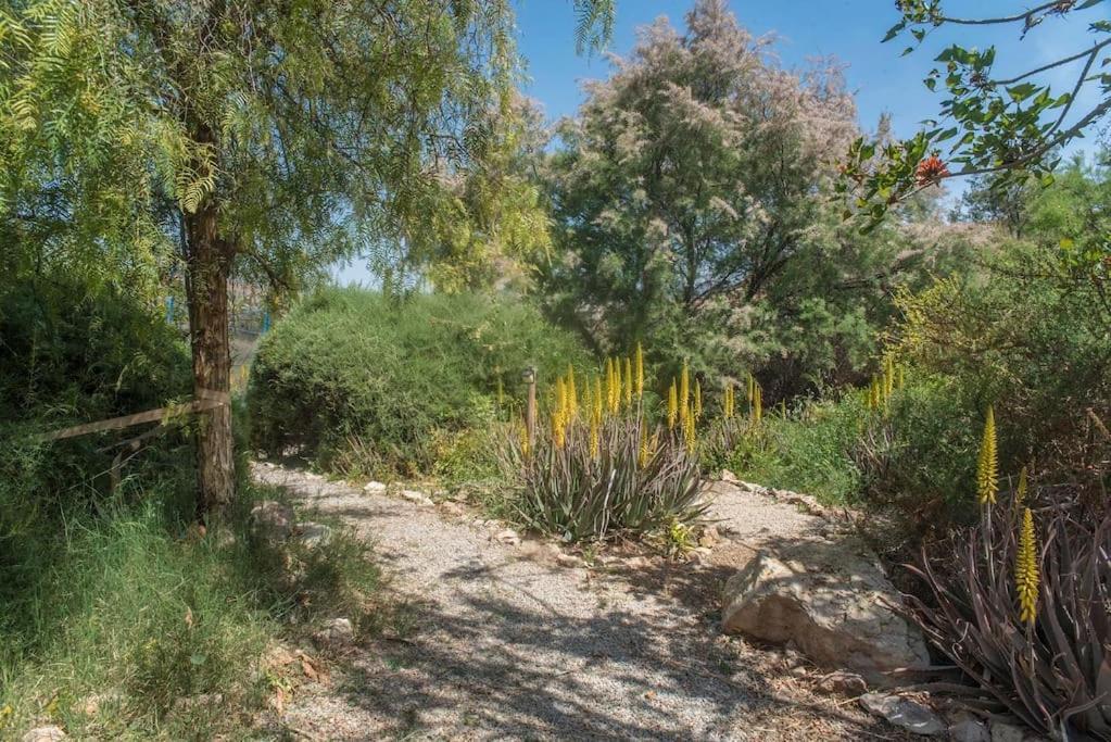 Willa Oasis De Ifre Caserío Cañada de Gallego Zewnętrze zdjęcie