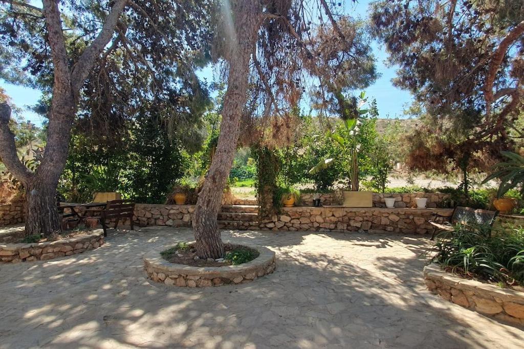 Willa Oasis De Ifre Caserío Cañada de Gallego Zewnętrze zdjęcie